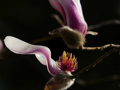 -东华门大街小区