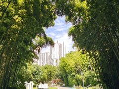 -苏州河梦清园环保主题公园