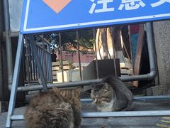 -蛋满灌·非遗手工灌蛋(龙头路店)