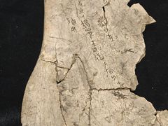 -安阳博物馆