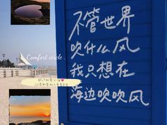 -老家黄墩小错鸡·活海鲜