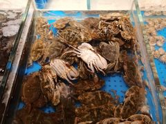 石蟹-加餐海鲜自助(集美银泰百货店)