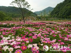 DSC06335-丹东天桥沟景区