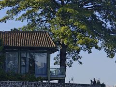 -喜洲吧·江畔老船厂·庭院餐厅(喜临院店)