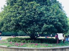 -灵谷景区