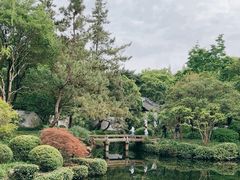 -秋霞圃