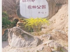 -白水寺森林公园