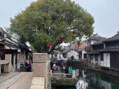 -周庄古镇景区-双桥