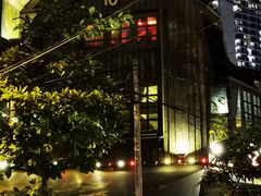 -Rainforest