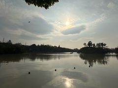 -江心屿景区