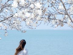 -阳澄湖半岛旅游度假区
