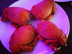 -中央电视塔旋转餐厅