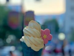 -麦当劳(十字街店)