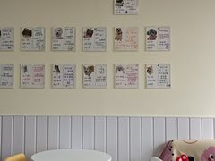 -汪说·狗咖·拼豆·宠物周边DIY(旺城大厦店)