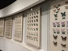 -陕西自然博物馆