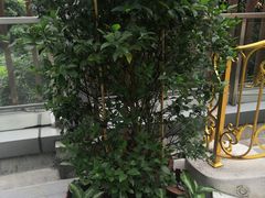 -御彩酒家(东风东路店)