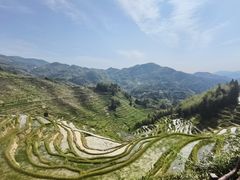 -紫鹊界梯田景区