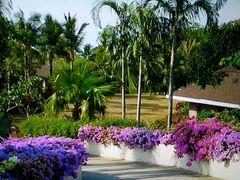 android_upload_pic-椰树岛海滩度假村