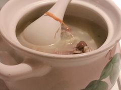 虫草花粉丝煲鸭汤-乾园(天河城店)