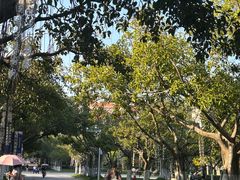 -厦门大学(思明校区)