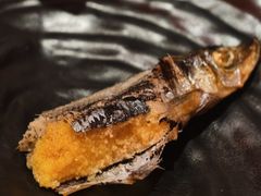 -明治屋(二十三年洪化桥店)