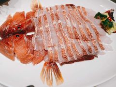 -協成海鮮火鍋(老店)