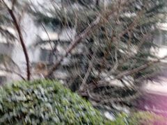 -金汉森牛排披萨自助餐厅(铜川店)