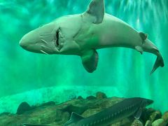 -太平洋海底世界