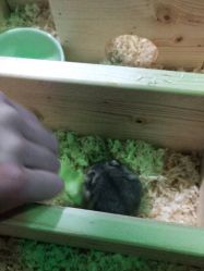 -酷嗒动物文化乐园(cutezoo西溪乐天城店)