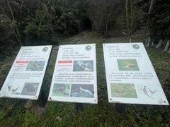 -都江堰中华大熊猫苑
