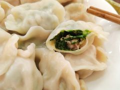 猪肉韭菜-东北特色水饺(郭家桥店)