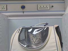 -纳吉亚猫专科动物医院·北北分院