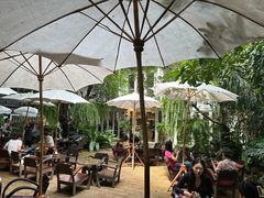 -Fern Forest Cafe