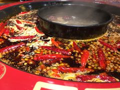 -蜀辣居鲜货老火锅(红牌楼店)