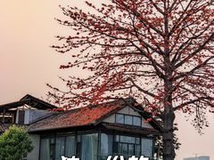 -喜洲吧·江畔老船厂·庭院餐厅(喜临院店)