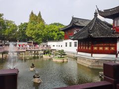 -绿波廊(豫园店)