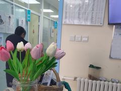 -全心全意连锁动物医院·微创中心·内科急重症·心脏专科(丰管路店)