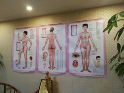 -养月堂中医养生月子会所(中心妇产店)