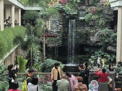 -白天鹅宾馆·月兔吧