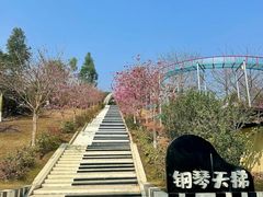 -盈香心动乐园