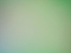 -必胜客(东大桥店)