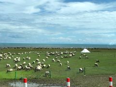 -青海湖国家重点风景名胜区