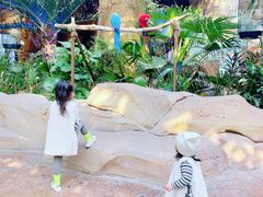 -杭州开元森泊度假乐园