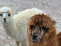 -水上乐园·欢乐世界