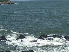 -硇洲岛旅游区