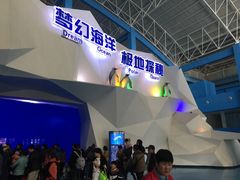 -泉城欧乐堡海洋极地世界