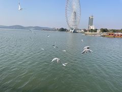 -蠡湖大桥公园