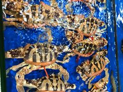 -大东海海鲜酒楼(渔人码头总店)