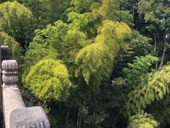 -九华山风景区月身宝殿