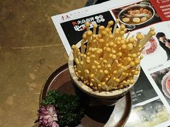 -手选潮汕鲜活牛肉火锅(二七广场店)